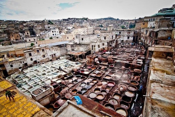 Fez Medina 4-Hour Guided Walking Tour - Why a private walk helps in Fez