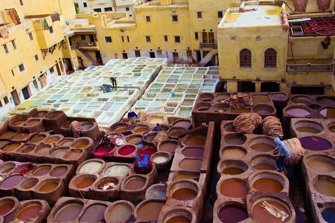 Fez Medina 4-Hour Guided Walking Tour - Chouara Tannery and the smell of leather