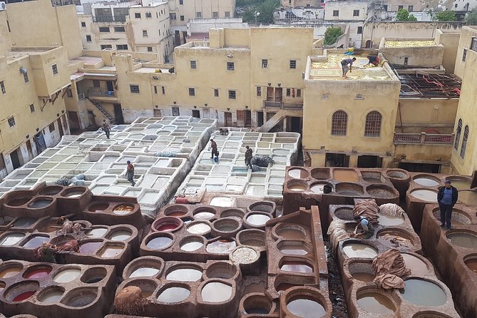 Fez Medina half day walking Tour - Pickup, timing, and the private format