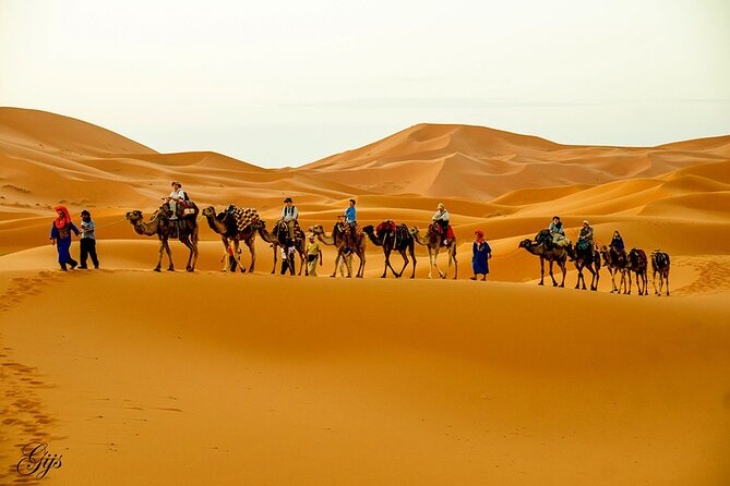 Fez to Marrakech via Merzouga Desert - 3 Day Desert Tour - Key points before you book