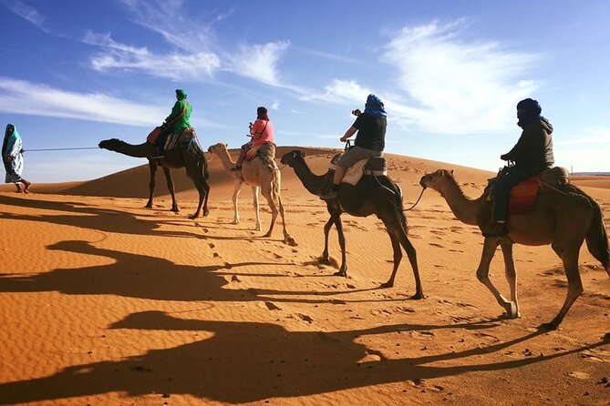 Fez to Marrakech via Merzouga Desert - 3 Day Desert Tour - From Fez to Ifrane and Azrou