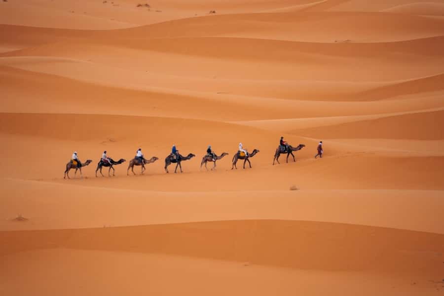From Agadir: 3-Day Desert Tour to Marrakech - The Desert Camp: Standard Comfort or Private Facilities