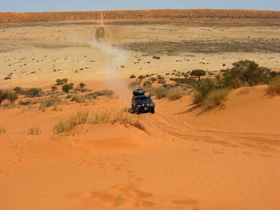 From Agadir: 4×4 Sahara Desert Safari with Lunch and Pickup - Oued Massa, birds, and a national park