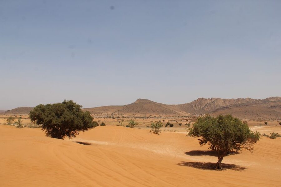 From Agadir: 4×4 Sahara Desert Safari with Lunch and Pickup - The small Sahara dunes and €5 camel ride