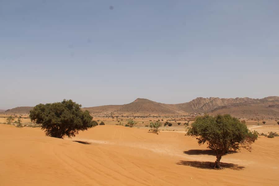 From Agadir: 4×4 Sahara Desert Safari with Lunch and Pickup - The guide can make or break the day