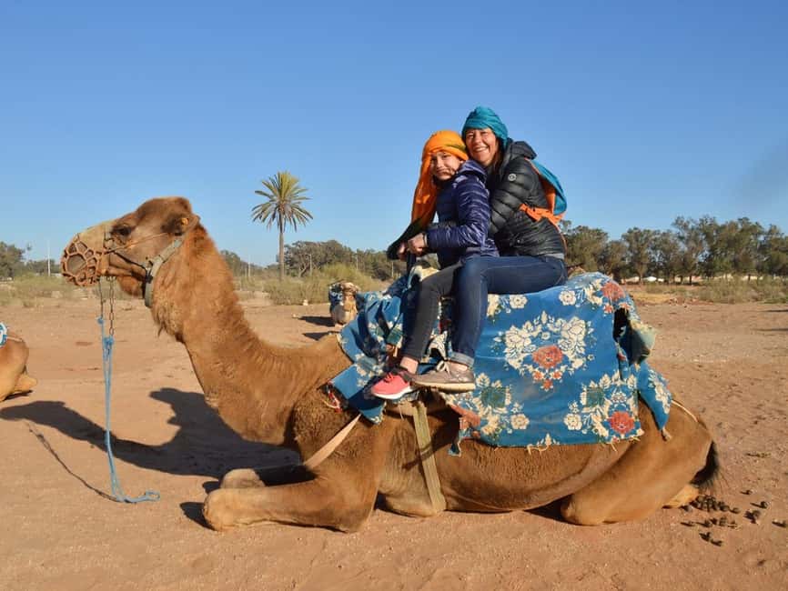 From Agadir: Camel Ride and Flamingo Trek - What makes this camel ride worth your time