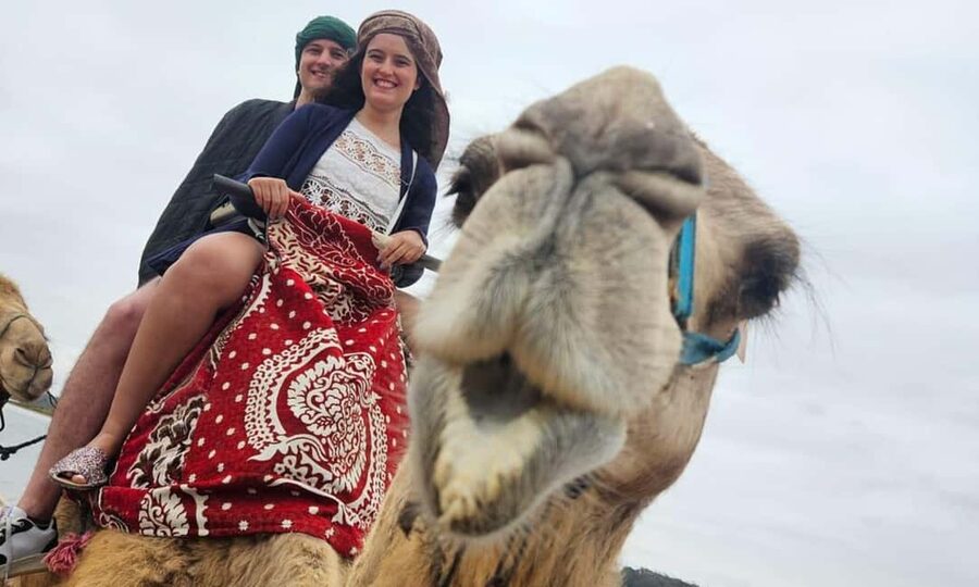 From Agadir: Camel Ride and Flamingo Trek - From your Agadir hotel to the camel yard