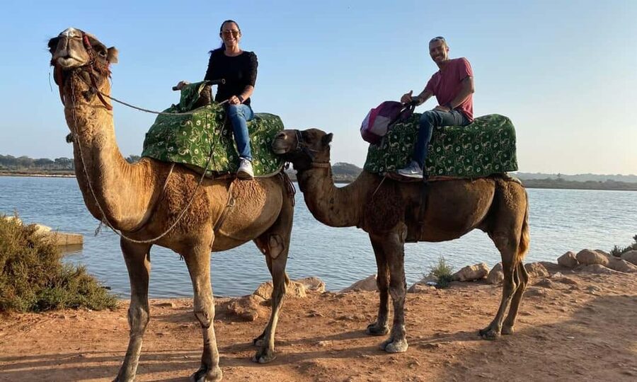 From Agadir: Camel Ride and Flamingo Trek - The flamingo stop needs realistic expectations