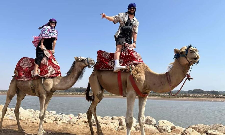 From Agadir: Camel Ride and Flamingo Trek - A glimpse toward the palace and ocean