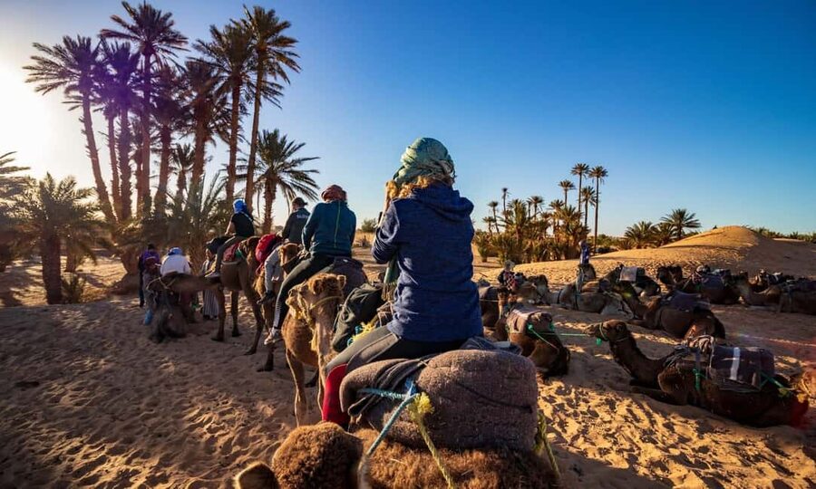 From Agadir: Camel Ride and Flamingo Trek - Mint tea, biscuits, and printed photographs