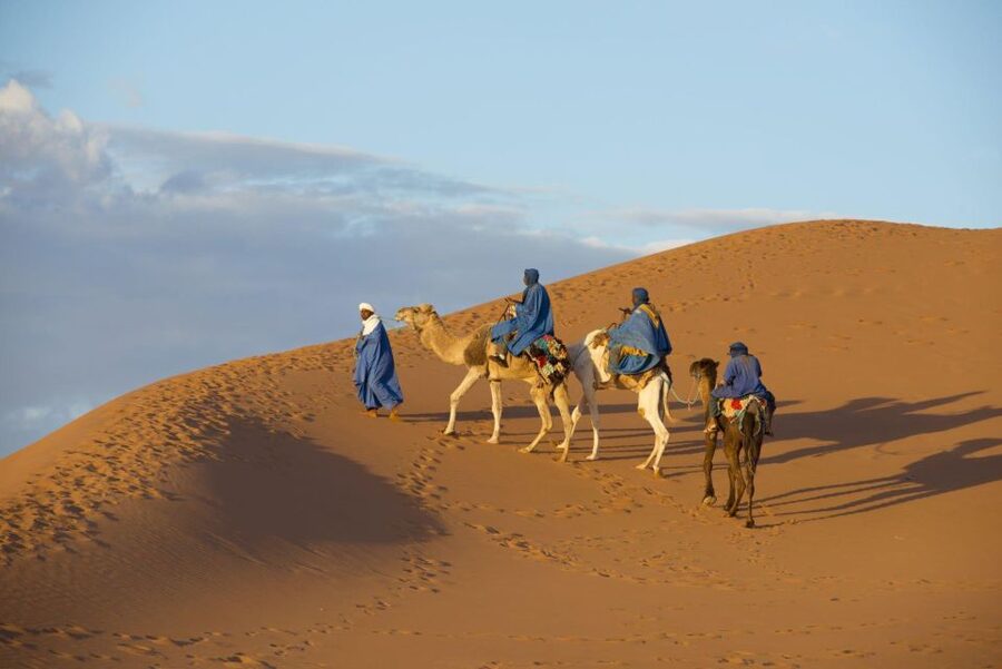 From Agadir: Camel Ride and Flamingo Trek - What the $19 price really covers
