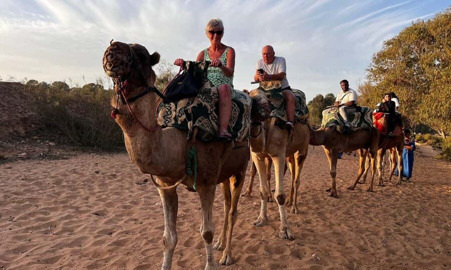 From Agadir: Camel Ride and Flamingo Trek - Meeting the camels and getting settled