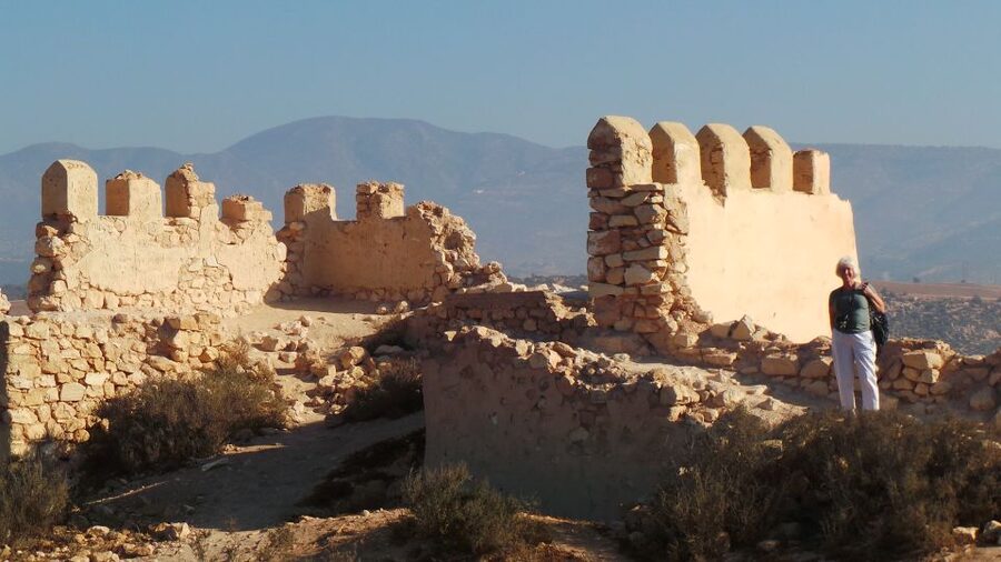 From Agadir: City Tour with Hotel or Port Transfers - One hour at Souk El Had