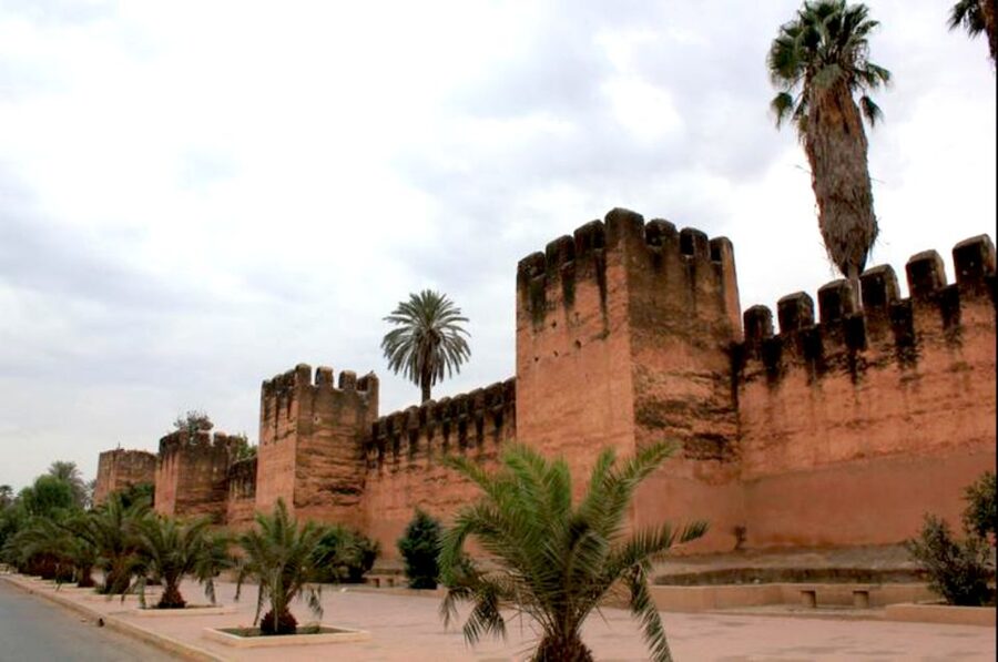 From Agadir: Half-Day Tour to Taroudant - The farm country, Argan trees, and the missing goat stop