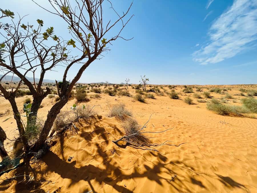 From Agadir: Jeep Desert Safari with Lunch and Camel Ride - The fishing caves and the Atlantic coast