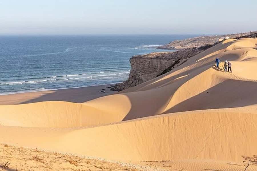 From Agadir: Jeep Desert Safari with Lunch and Camel Ride - Souss-Massa and the glossy ibis habitat