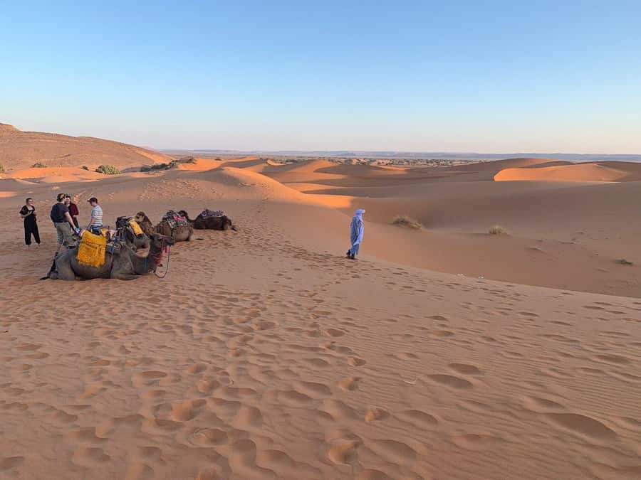 From Agadir: Jeep Desert Safari with Lunch and Camel Ride - Tiznit, the old silver capital