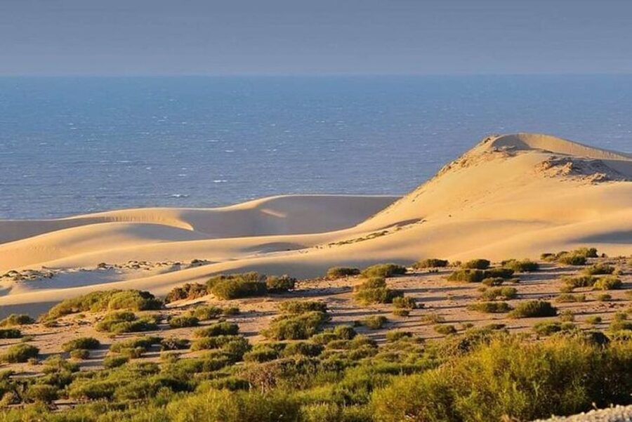 From Agadir: Jeep Desert Safari with Lunch and Camel Ride - Lunch in a Berber home