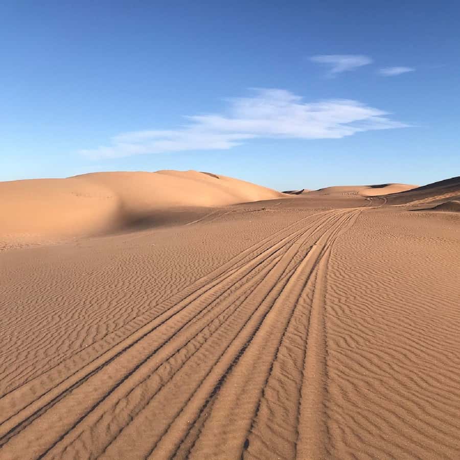 From Agadir: Jeep Desert Safari with Lunch and Camel Ride - A 4x4 ride through the Massa Valley