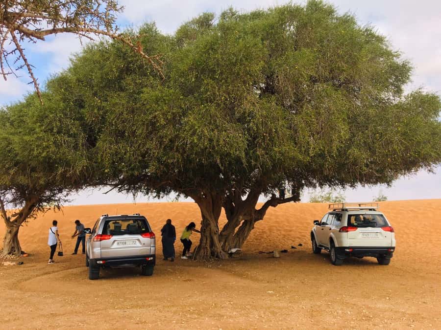 From Agadir: Mini Sahara Day Tour with Lunch - Tiznit’s old walls and silver shops