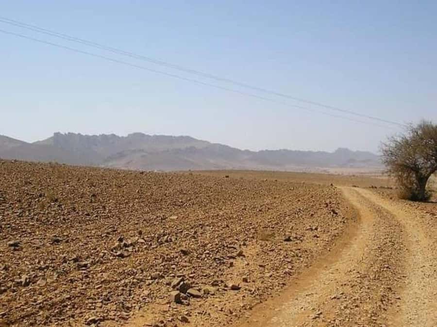 From Agadir: Mini Sahara Day Tour with Lunch - The Small Sahara of Rsmouka