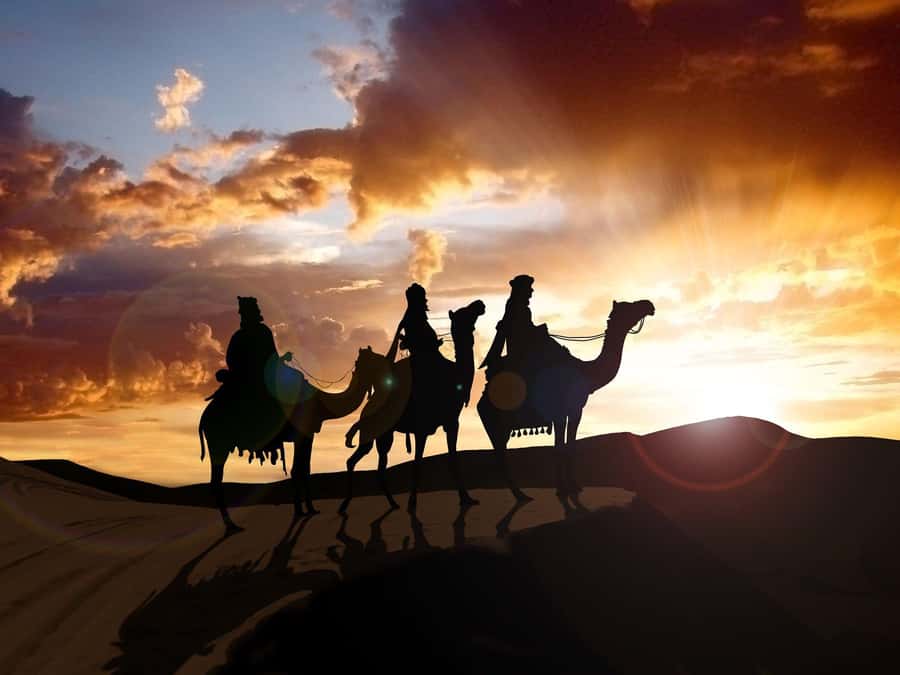 From Agadir or Taghazout: Camel Ride Berber Tour Experience - Key points to know before you book