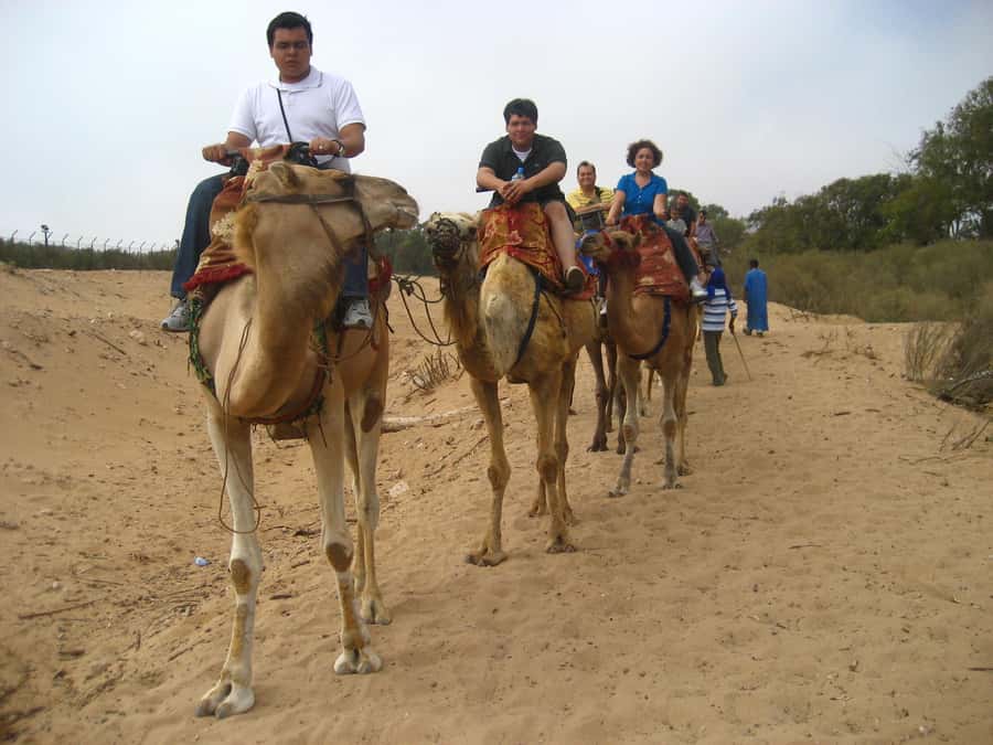 From Agadir or Taghazout: Camel Ride Berber Tour Experience - Should you book the IBN BATOUTTA TRAIL experience?