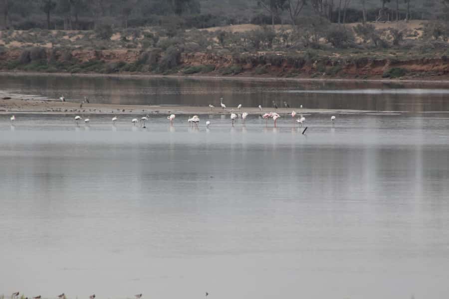 From Agadir or Taghazout: Camel Ride Berber Tour Experience - Leaving Agadir for the Souss River
