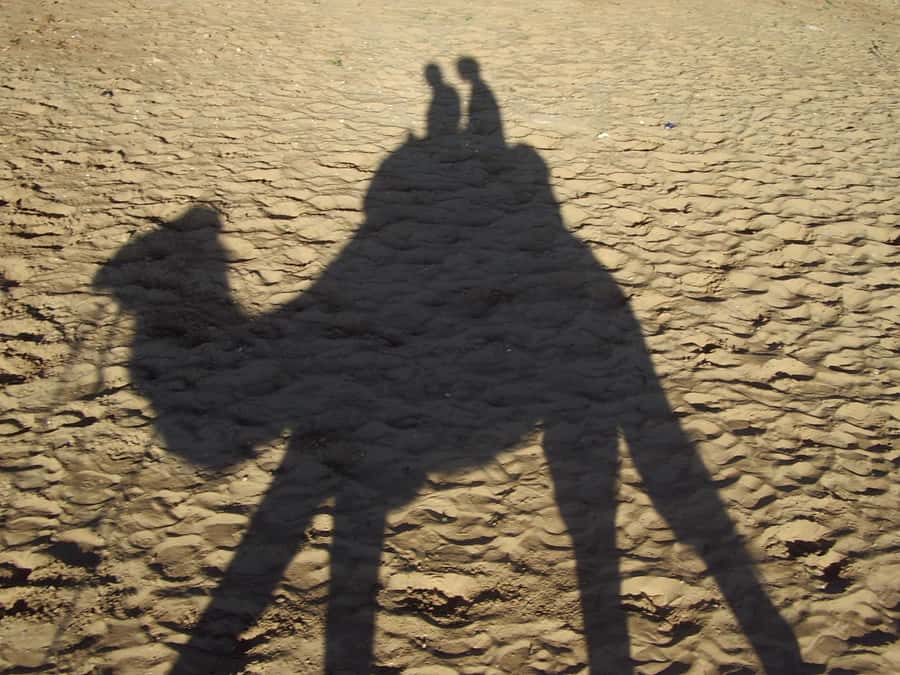 From Agadir or Taghazout: Camel Ride Berber Tour Experience - Following the Souss River toward the birds