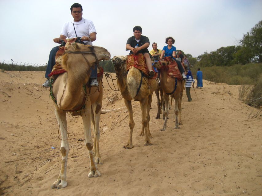 From Agadir or Taghazout: Camel Ride Berber Tour Experience - What the $27 price really gives you