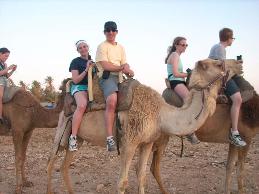 From Agadir or Taghazout: Camel Ride Berber Tour Experience - Who will enjoy this camel ride most?