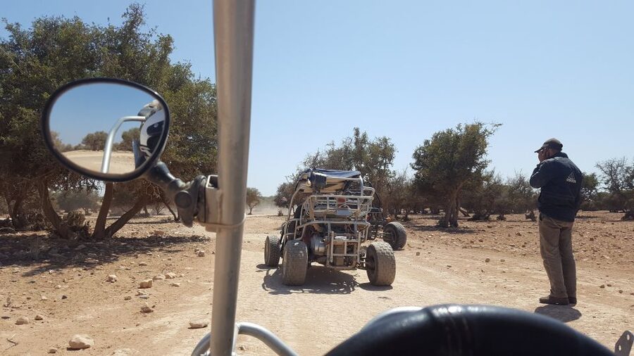 From Agadir or Taghazout: Desert Dunes Buggy Tour - The sand dunes and sandy argan forest