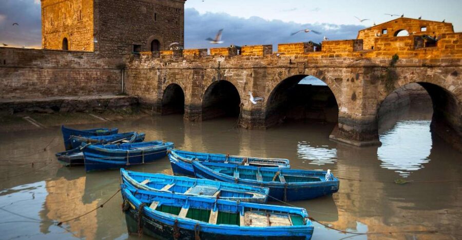 From Agadir or Taghazout: Essaouira Day Trip with Transfer - Bab El Marse and the cannons by the Atlantic