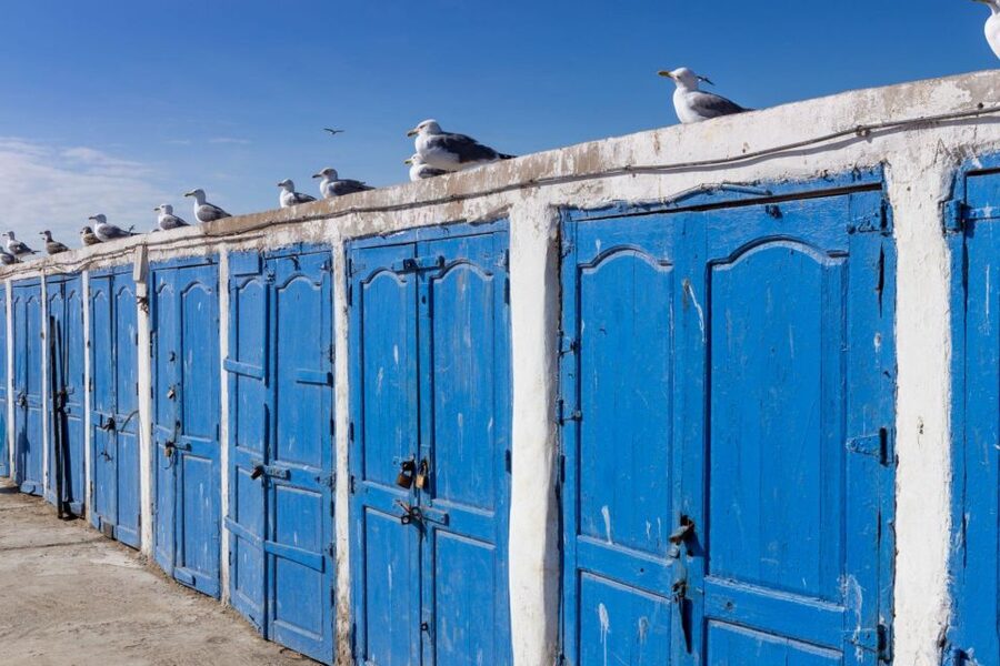 From Agadir or Taghazout: Essaouira Day Trip with Transfer - The women’s argan oil cooperative