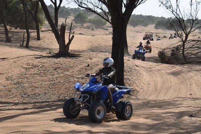 From Agadir: Quad Biking & Sand boarding halfday Experience - What the forest section adds