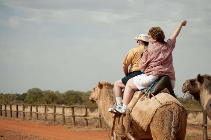 From Agadir: Souss River Camel Ride - Why this camel ride works well near Agadir