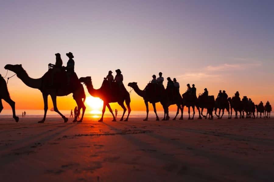 From Agadir: Souss River Camel Ride - The ocean views and sunset timing