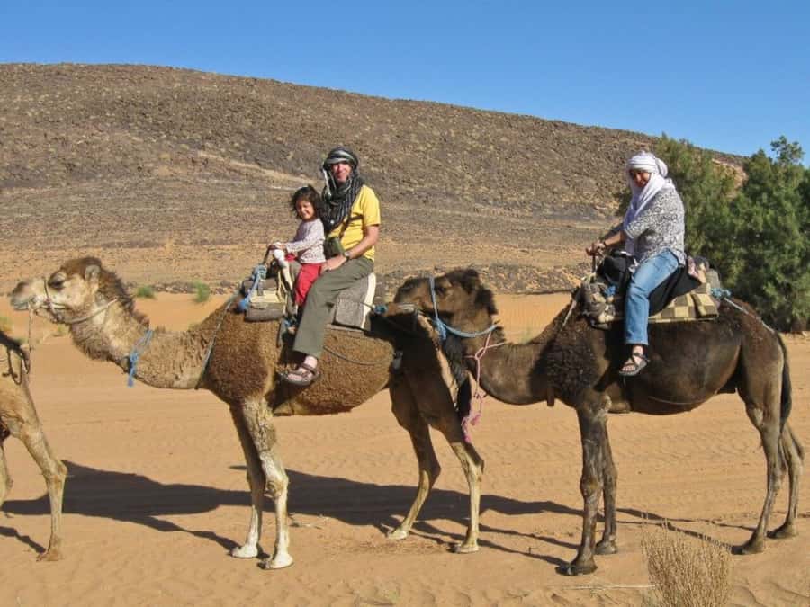 From Agadir: Souss River Camel Ride - Guide service and photographs