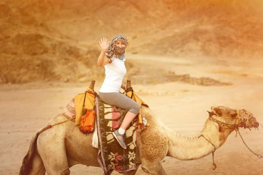 From Agadir: Souss River Camel Ride - Pickup from Agadir or Taghazout