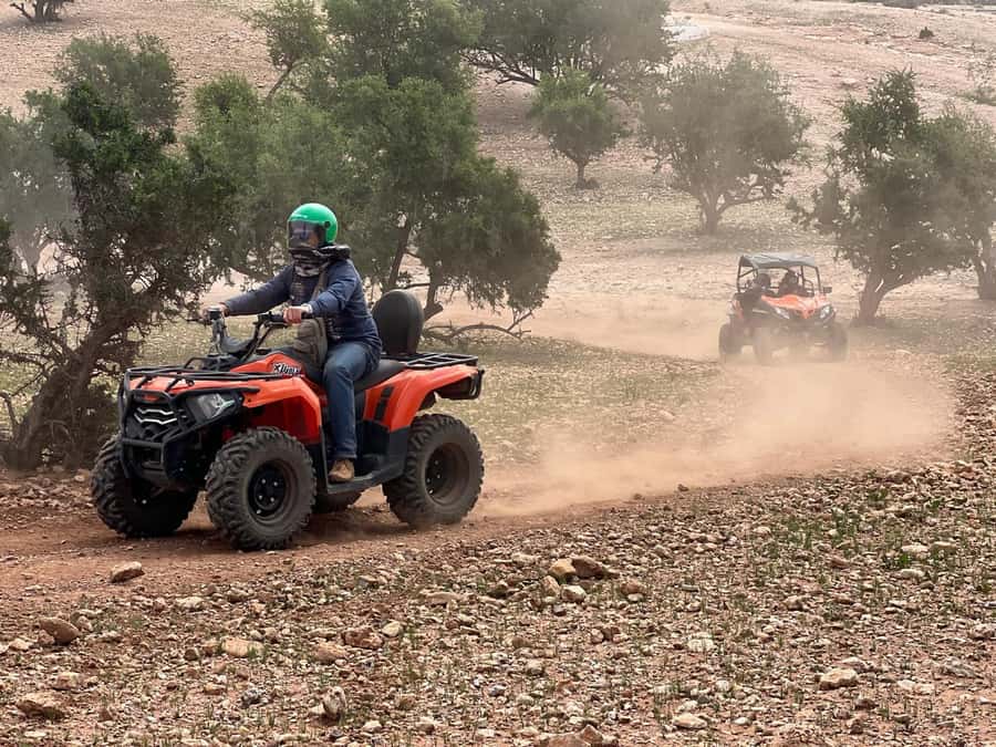 From Agadir/Taghazout: Buggy Safari Adventure & Moroccan Tea - Looking for goats in argan trees