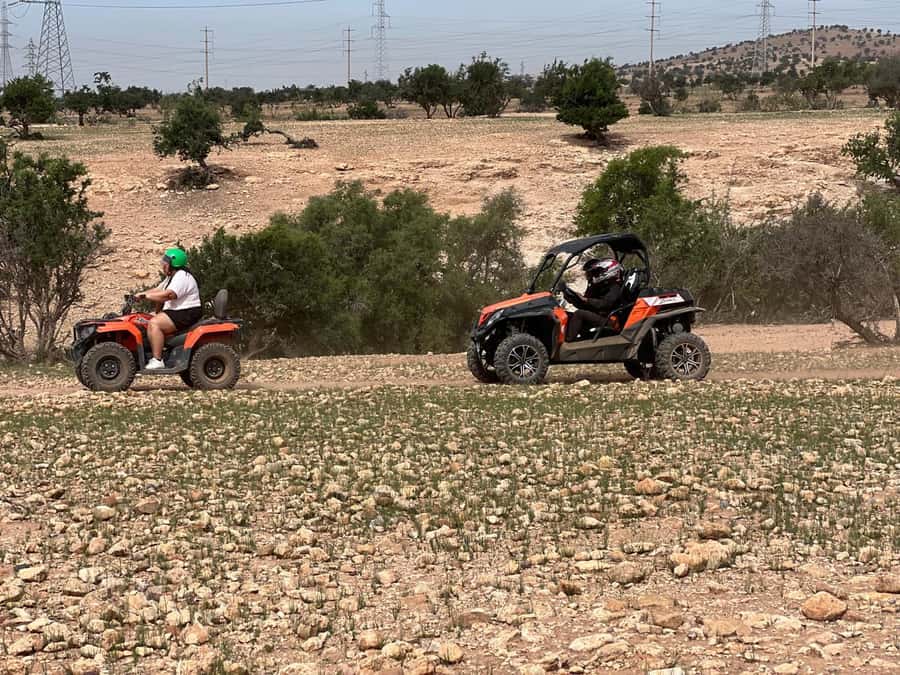 From Agadir/Taghazout: Buggy Safari Adventure & Moroccan Tea - Is $56 per person fair value?