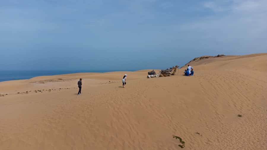 From Agadir/Taghazout: Sahara Sand Dunes with Transfer - Key points to know before booking