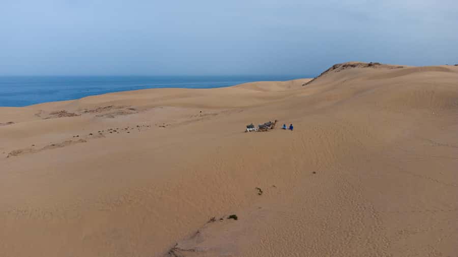 From Agadir/Taghazout: Sahara Sand Dunes with Transfer - Tamri and the banana-growing country