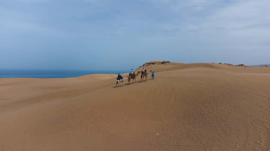 From Agadir/Taghazout: Sahara Sand Dunes with Transfer - Arriving at the Timalin dunes