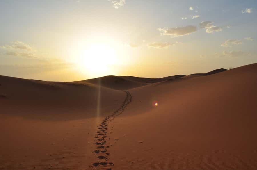 From Agadir/Taghazout: Sahara Sand Dunes with Transfer - Sunset, sea air, and the best photo hour