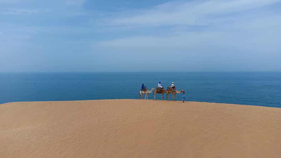 From Agadir/Taghazout: Sahara Sand Dunes with Transfer - Is $49 good value?