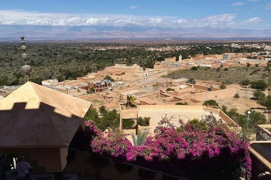 From Agadir: Taroudant and Tiout Day Tour with Lunch - What the $41 price really covers
