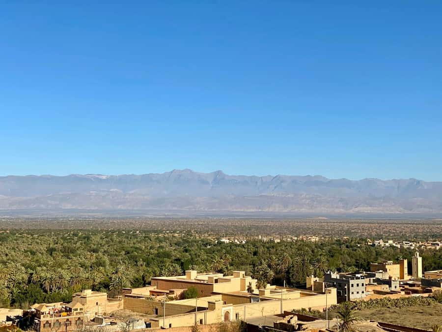 From Agadir: Taroudant and Tiout Day Tour with Lunch - The first drive and the famous tree goats