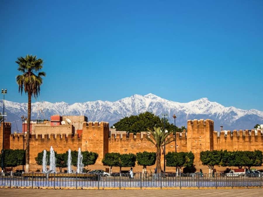 From Agadir: Taroudant & Tiout guided excursion - Shopping stops and the argan oil question