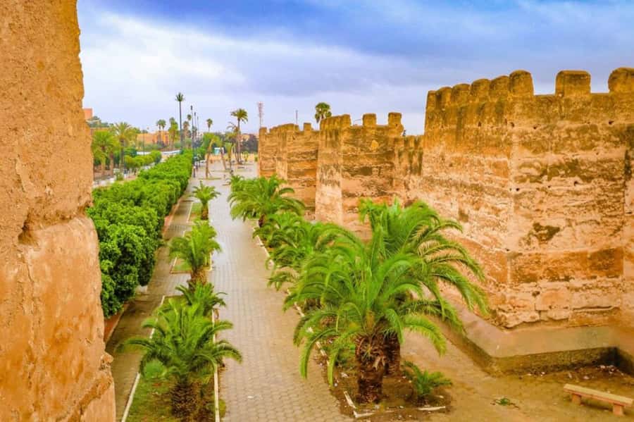 From Agadir: Taroudant & Tiout guided excursion - Tiout Oasis and its palm groves